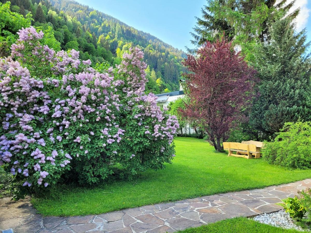 Panorama Apartments - Steinbock Lodges Zell am See Exterior photo
